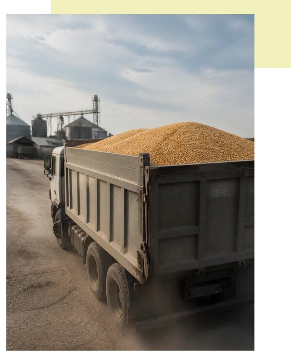 Перевозка сельхозпродукции навалом в Рязань по цене от 3080 р. | Агросервис-Рзн