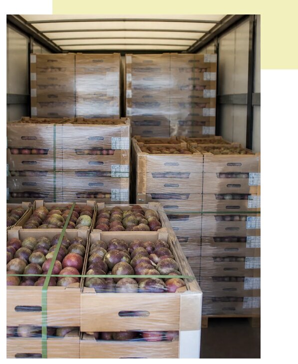 Перевозка маракуйи автотранспортом в Рязань по цене от 5134 р. | Агросервис-Рзн